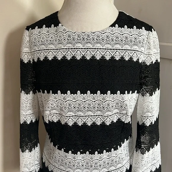 Jill Jill Stuart Classic Black and White Lace Striped Shift Dress 3/4 Sleeves 14 - Picture 4 of 12